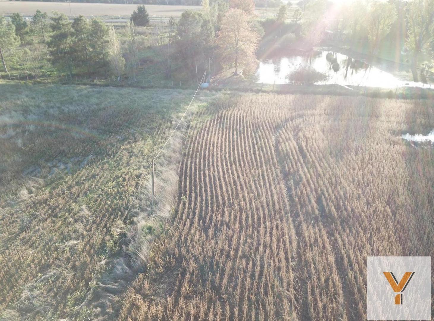 Foto de Campo en venta - 2 Dormitorios 1 Baño - Cochera - 23.000Mts2, imagen 2