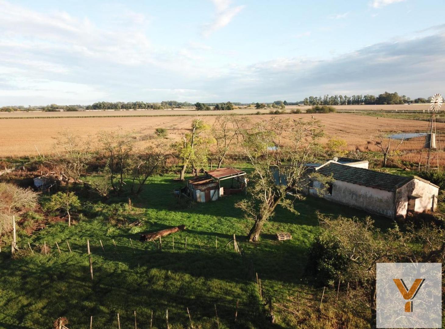 Foto de Campo en venta - 2 Dormitorios 1 Baño - Cochera - 23.000Mts2, imagen 4