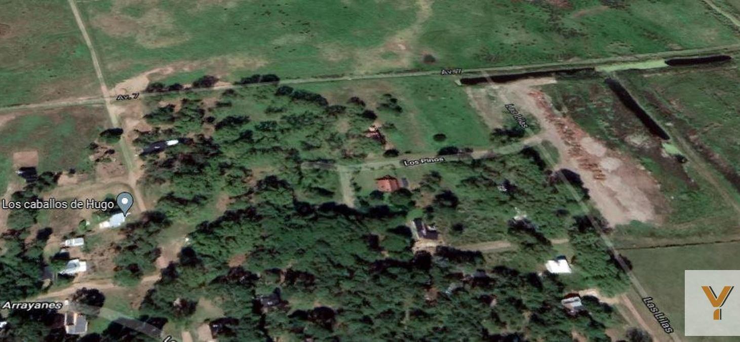 Foto de Terreno en venta - 555mts2 - Costa Del Este, imagen 3