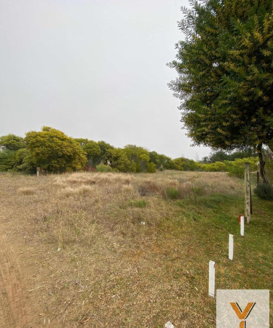 Foto de Terreno en venta - 1000mts2 - Barrio Residencial I, Costa Esmeralda, imagen 4