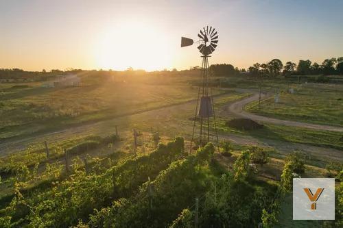 Foto de Terreno en venta - 683mts2 - Mariano Acosta, imagen 1