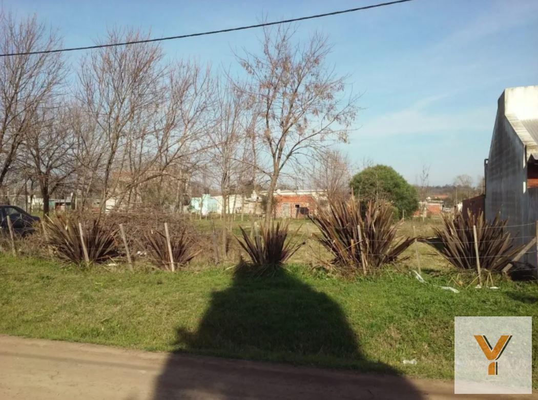 Foto de Terreno VENTA 12,5x44,5-556mts2 totales - Lujan, imagen 4