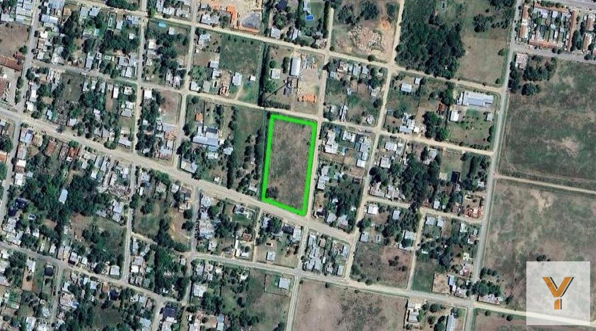 Foto de Terreno en venta - 8.224Mts2 - Carmen de Areco, imagen 5
