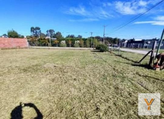 Foto de Terreno en Venta - - 470mts - Mar Del Plata, imagen 3