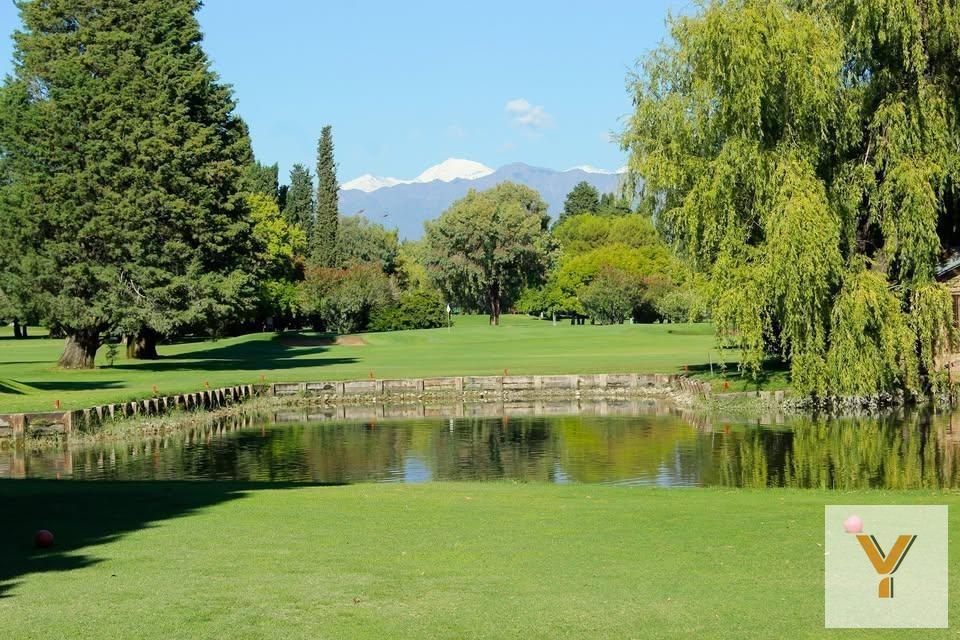 Foto de Terreno en venta - 471Mts2 - Mendoza, imagen 4