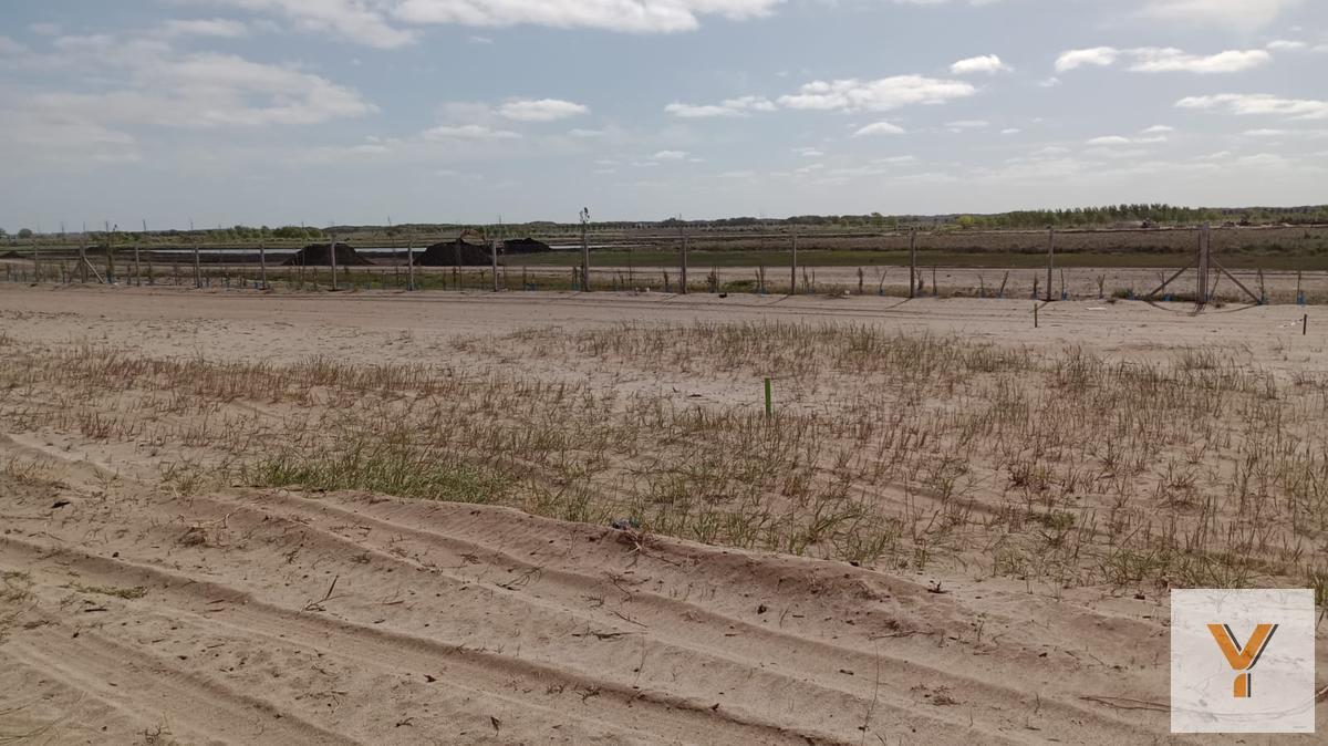 Foto de Terreno en venta - 2344Mts2 - General Madariaga, imagen 1