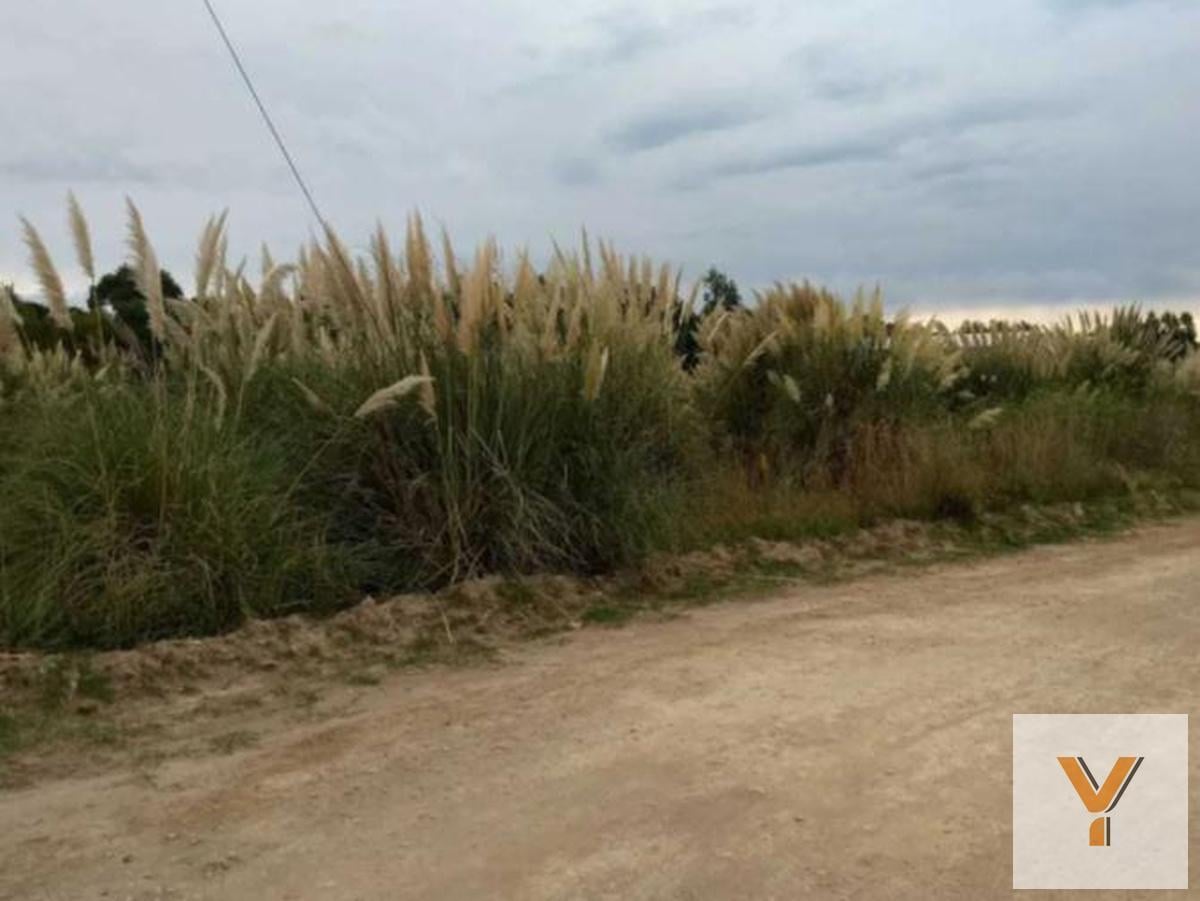 Foto de Terreno en venta - 1.007mts2 - Balneario Marisol, Coronel Dorrego, imagen 1