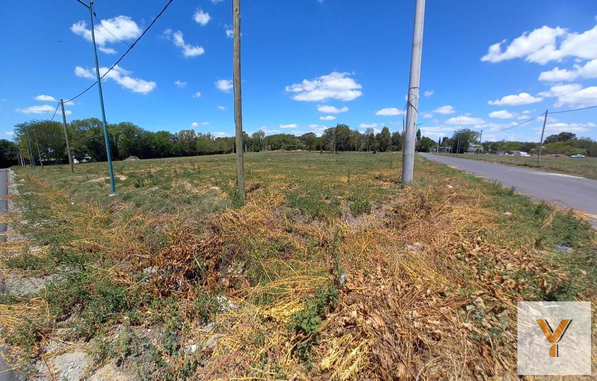 Foto de Terreno en venta - 308mts2 - City Bell [FINANCIADO], imagen 5