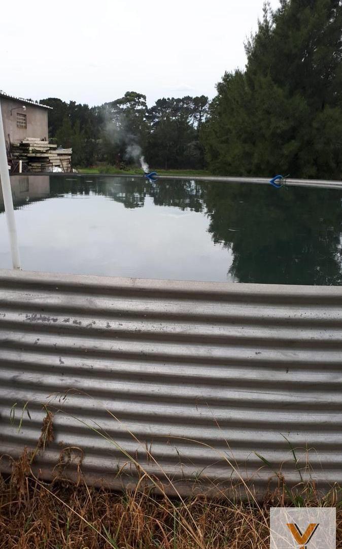 Foto de Campo en venta - 99.934Mts2 - General Pueyrredón, imagen 4