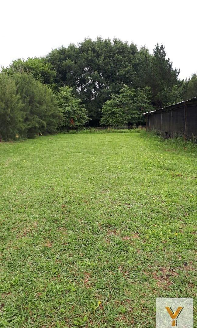 Foto de Campo en venta - 99.934Mts2 - General Pueyrredón, imagen 1