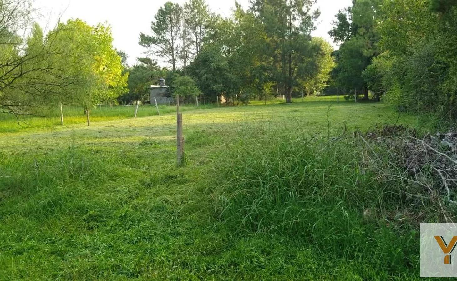 Foto de Terreno en venta - 1.000Mts2 - La Plata, imagen 5