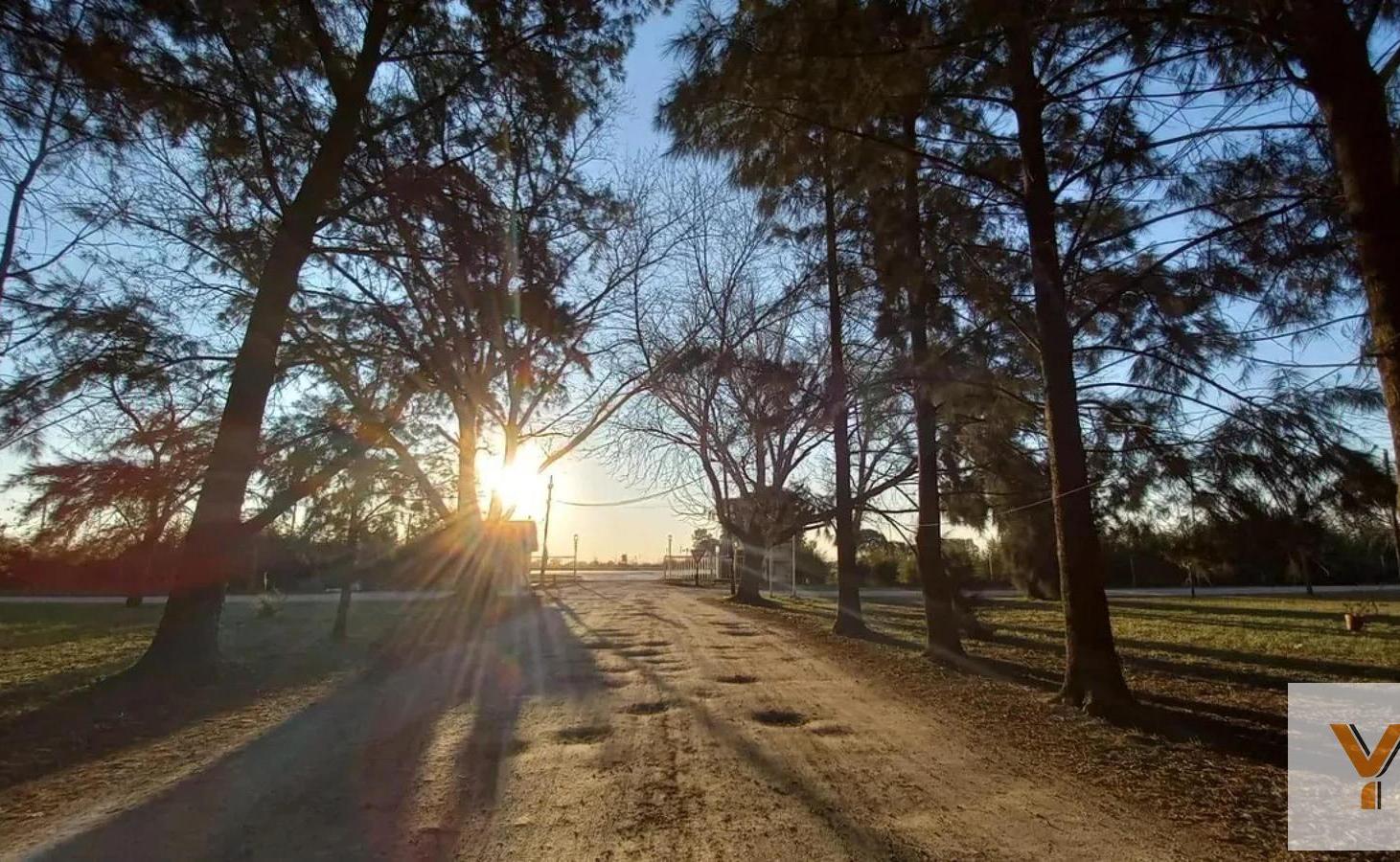 Foto de Terreno en venta - 1.000Mts2 - La Plata, imagen 4