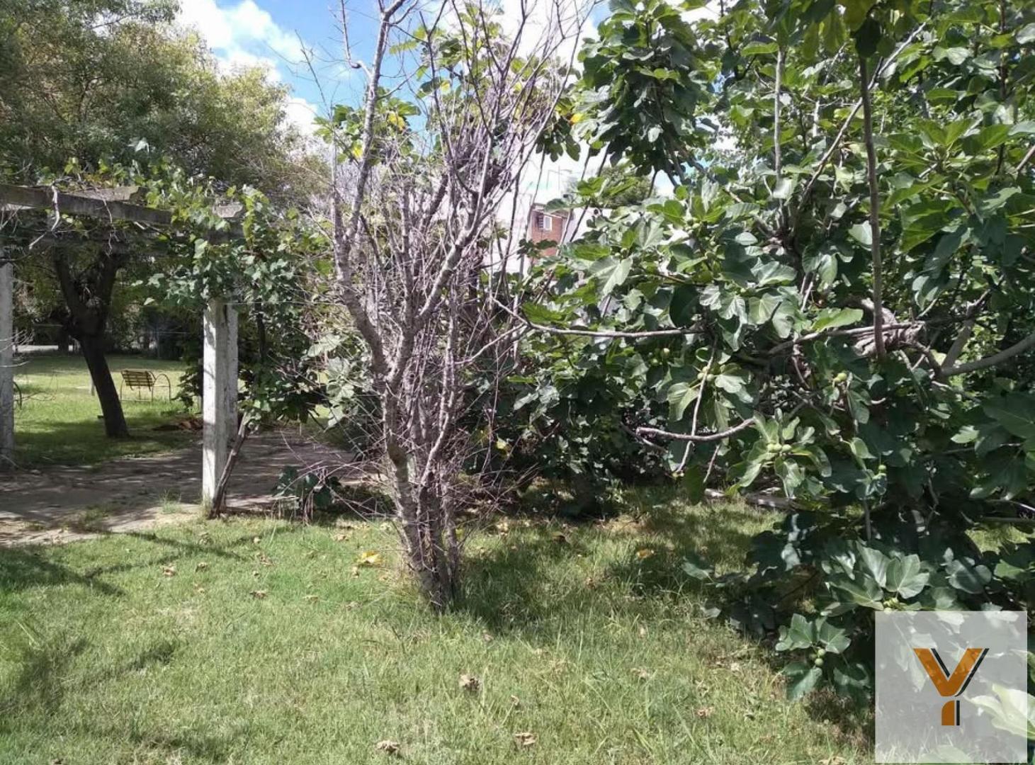 Foto de Terreno en venta - 300Mts2 - Villa Castell, imagen 1