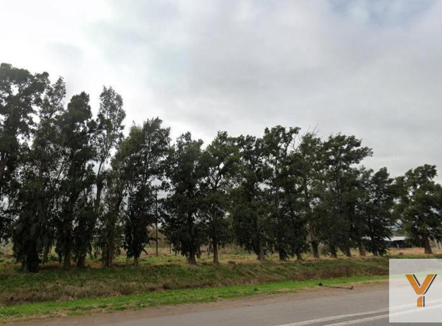 Foto de Terreno en venta - 748Mts2 - Abasto, imagen 5