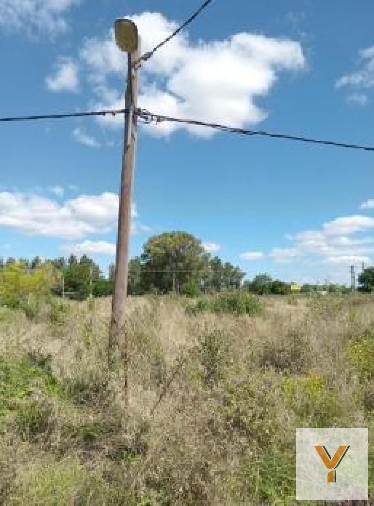 Foto de Terreno en venta - 748Mts2 - Abasto, imagen 2