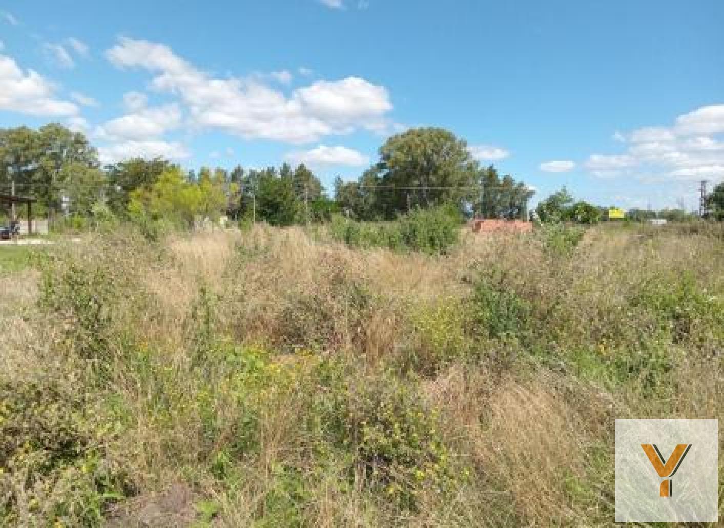 Foto de Terreno en venta - 748Mts2 - Abasto, imagen 1