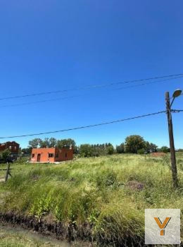 Foto de Terreno en venta - 748Mts2 - Abasto, imagen 4