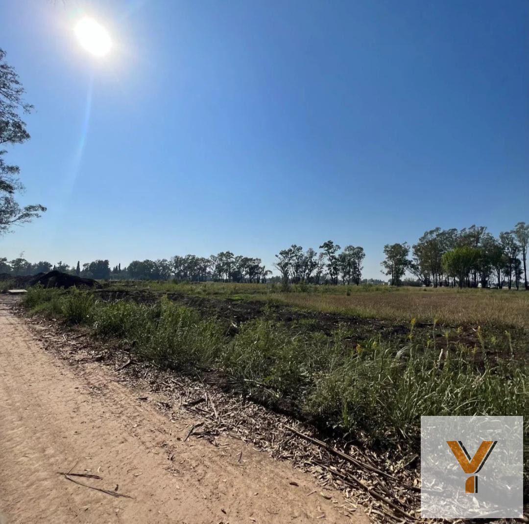 Foto de Terreno en venta - 520mts2 - Santa Sofía, Pilar Del Este, imagen 5