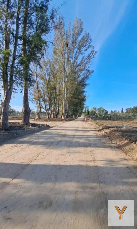 Foto de Terreno en venta - 520mts2 - Santa Sofía, Pilar Del Este, imagen 4