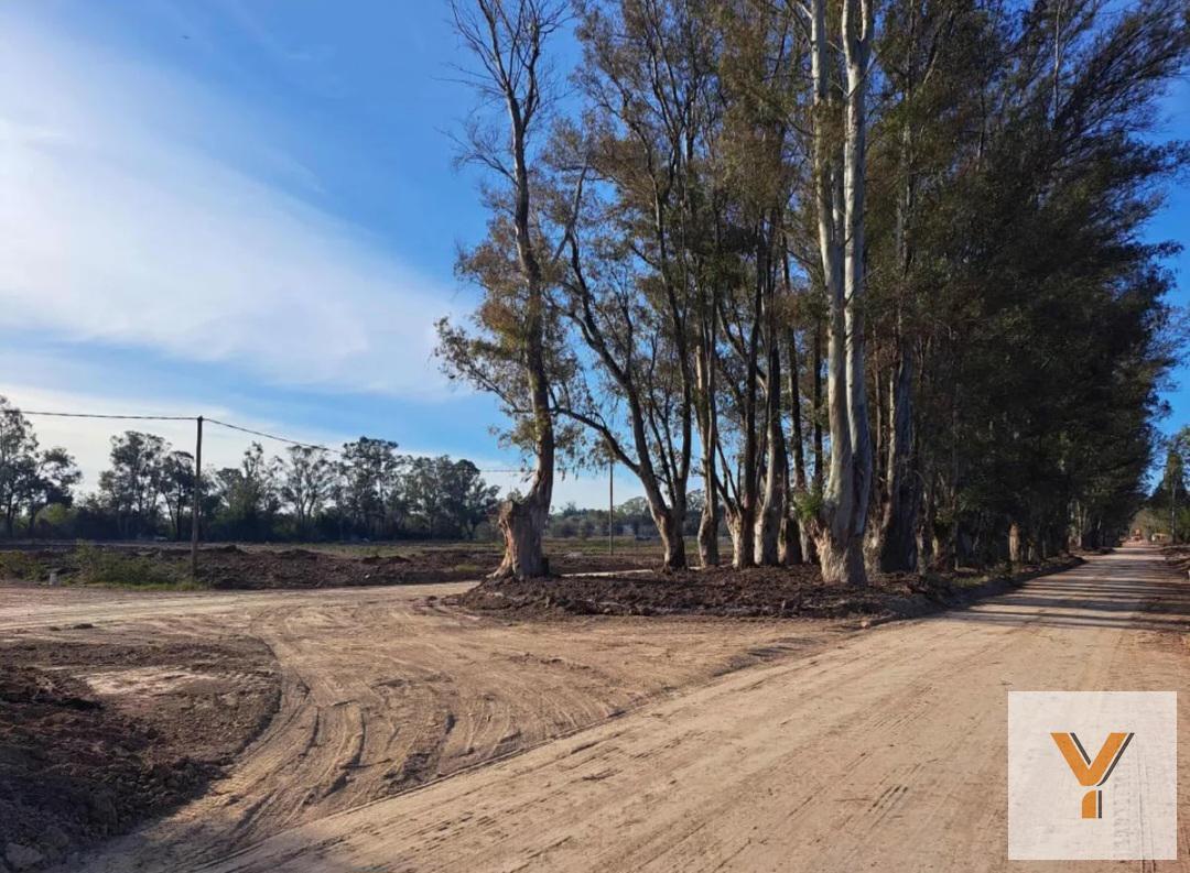 Foto de Terreno en venta - 520mts2 - Santa Sofía, Pilar Del Este, imagen 2
