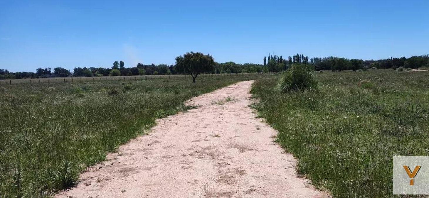 Foto de Terreno en venta - 30.000Mts2 - Estancia Benqueria, Monte, imagen 1