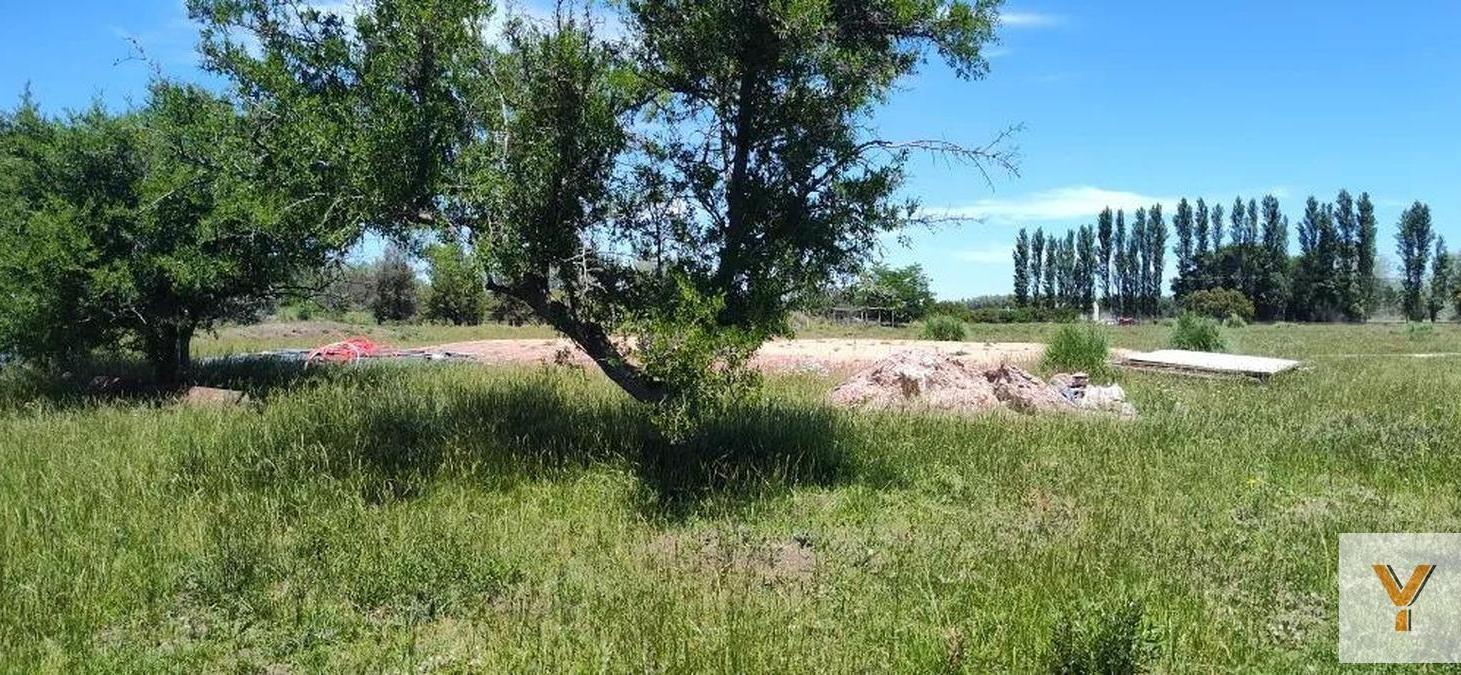 Foto de Terreno en venta - 30.000Mts2 - Estancia Benqueria, Monte, imagen 4