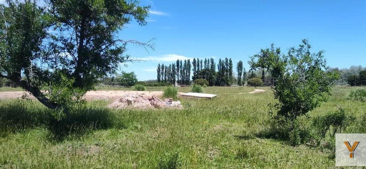 Foto de Terreno en venta - 30.000Mts2 - Estancia Benqueria, Monte, imagen 2