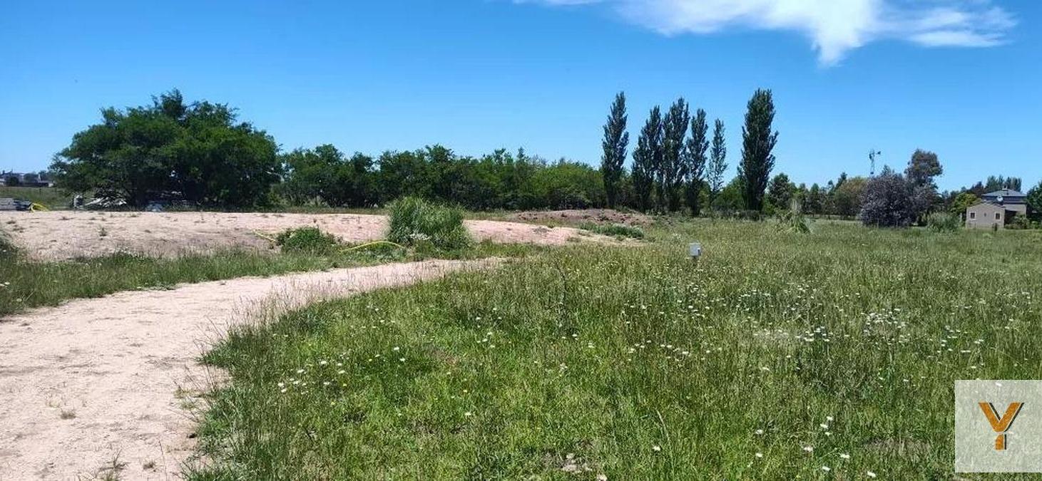 Foto de Terreno en venta - 30.000Mts2 - Estancia Benqueria, Monte, imagen 5