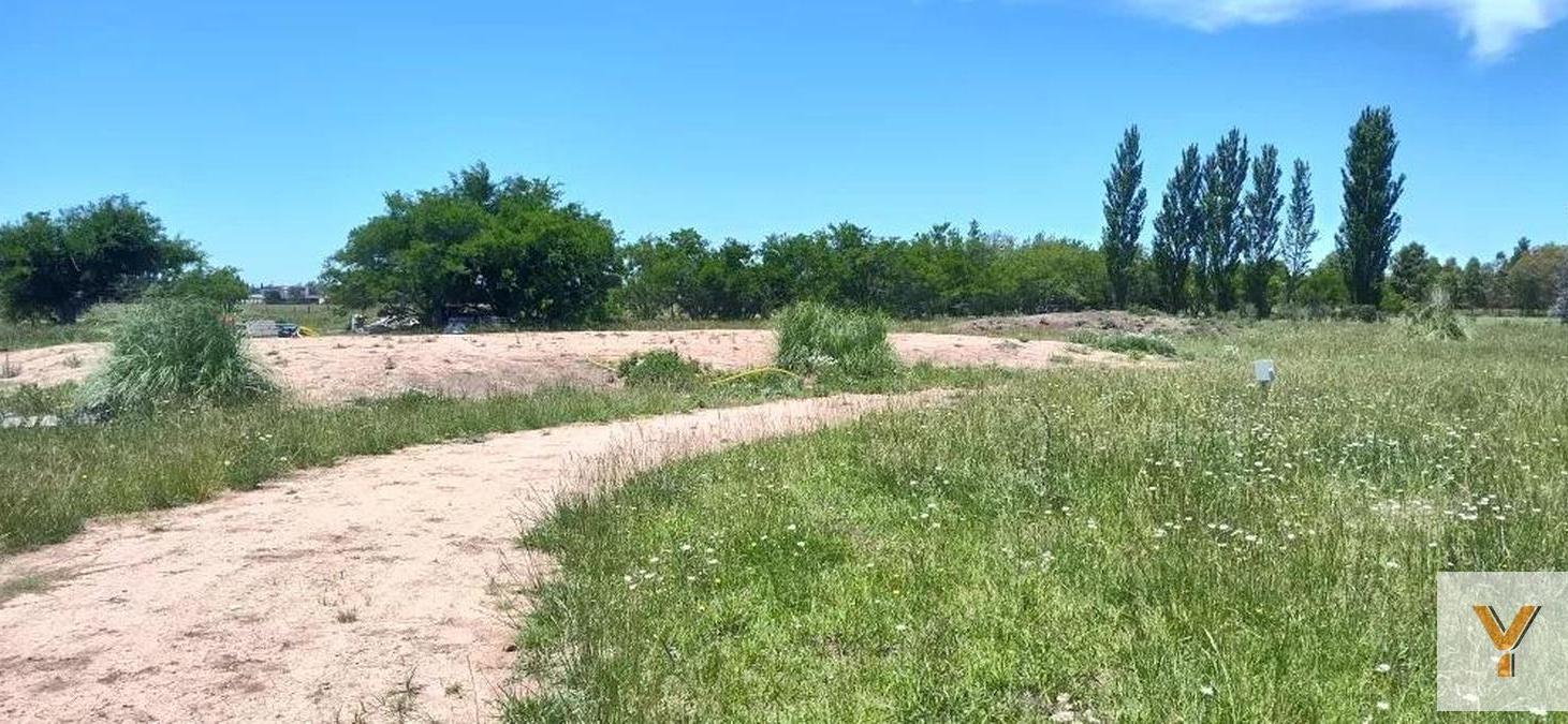 Foto de Terreno en venta - 30.000Mts2 - Estancia Benqueria, Monte, imagen 3