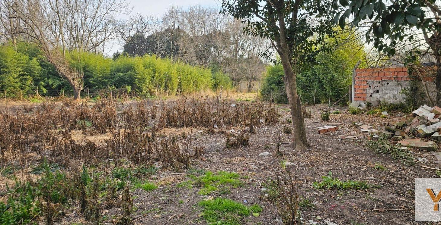 Foto de Terreno en venta - 600mts2 - Tandil, imagen 3