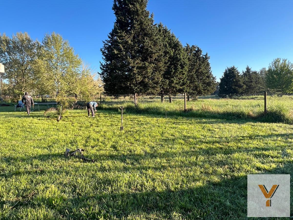 Foto de Terreno en venta - 1.400Mts2 - San Vicente, imagen 2