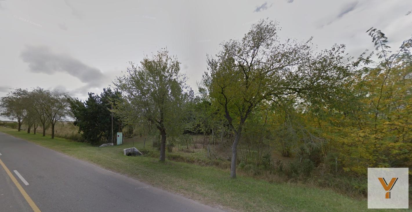 Foto de Terreno en venta - 12.637Mts2 - Oliden, Coronel Brandsen, imagen 2