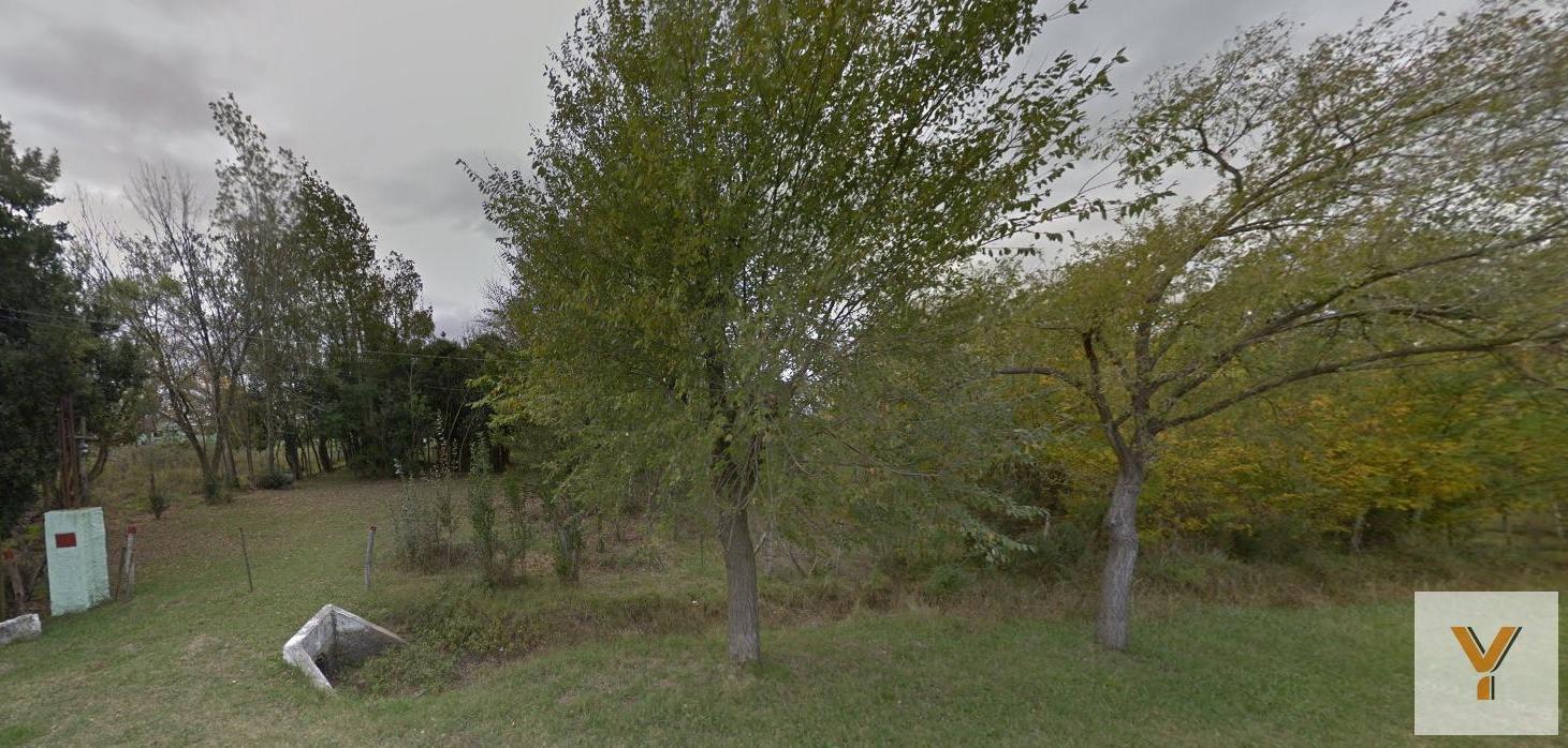 Foto de Terreno en venta - 12.637Mts2 - Oliden, Coronel Brandsen, imagen 3