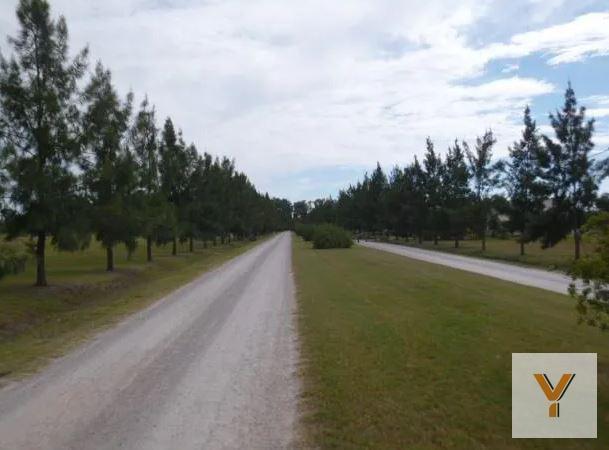 Foto de Terreno en venta - 2.200mts2 - Campos de Roca II, Coronel Brandsen, imagen 1