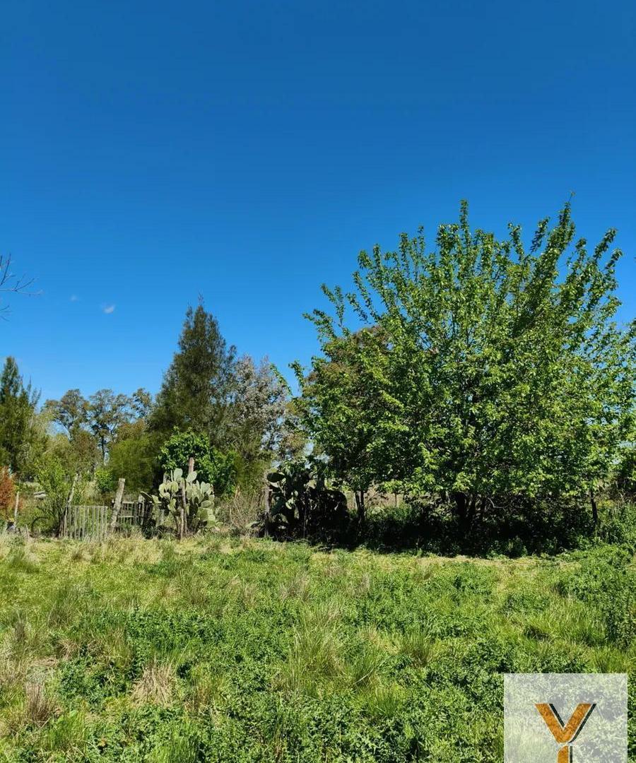 Foto de Campo en venta - 83.000Mts2 - Florencio Varela, imagen 4