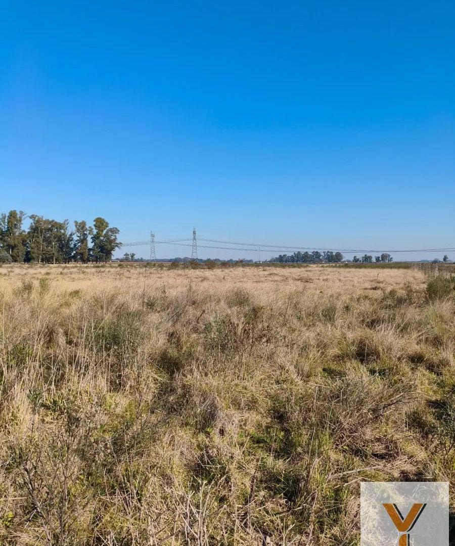 Foto de Campo en venta - 83.000Mts2 - Florencio Varela, imagen 3