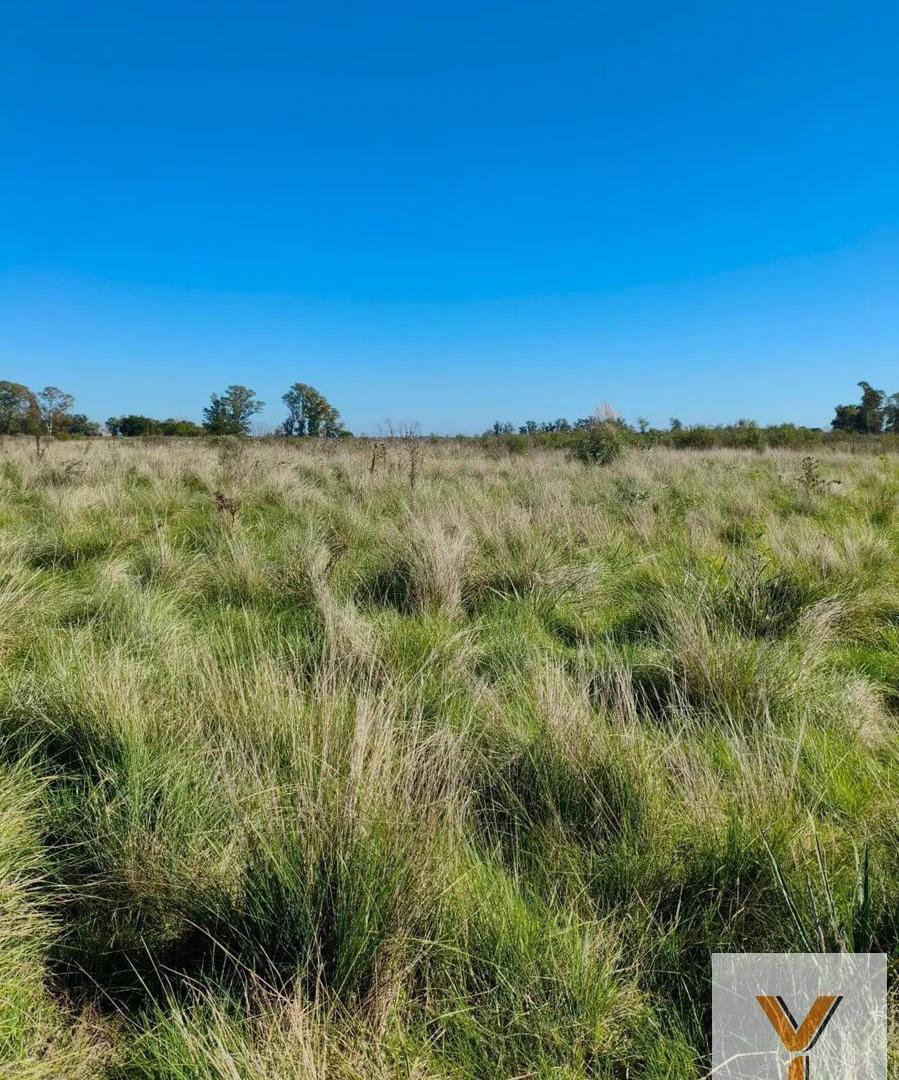 Foto de Campo en venta - 83.000Mts2 - Florencio Varela, imagen 1