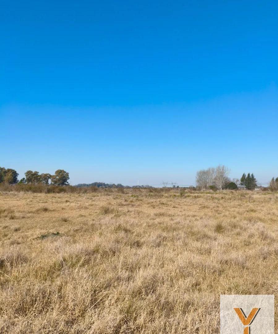 Foto de Campo en venta - 83.000Mts2 - Florencio Varela, imagen 5