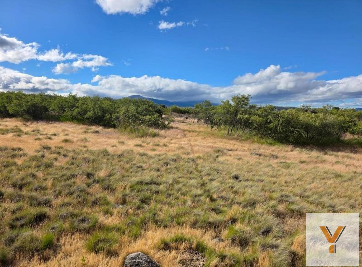 Foto de Terreno en venta - 1.256mts2 - Esquel, imagen 5