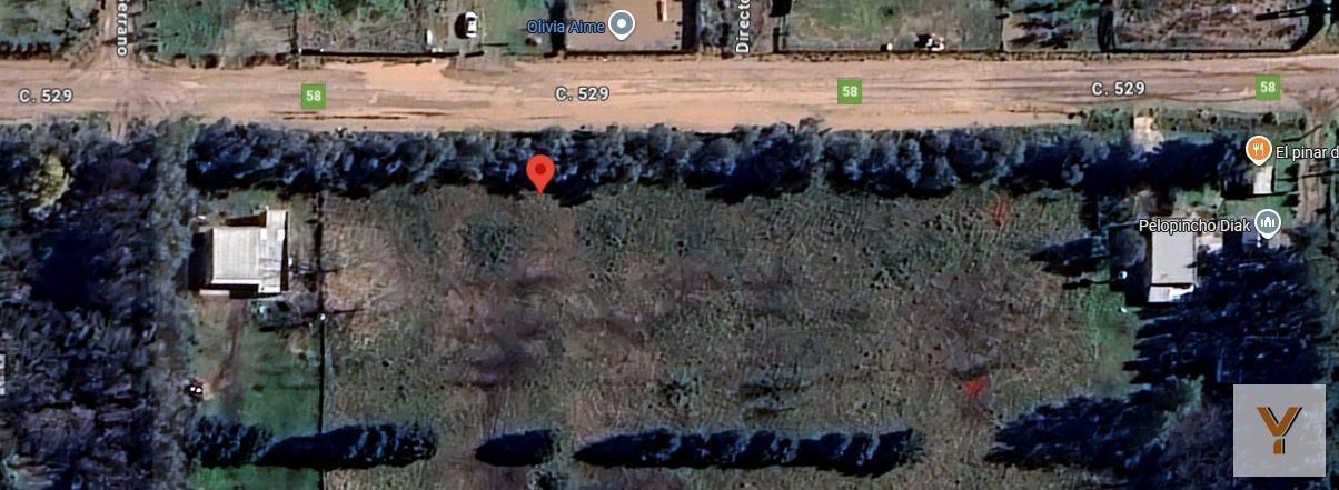 Foto de Terreno en venta - 1.400Mts2 - San Vicente, imagen 3