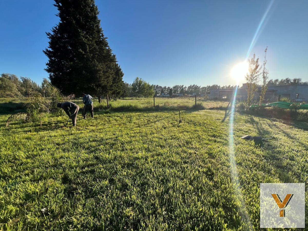 Foto de Terreno en venta - 1.400Mts2 - San Vicente, imagen 5