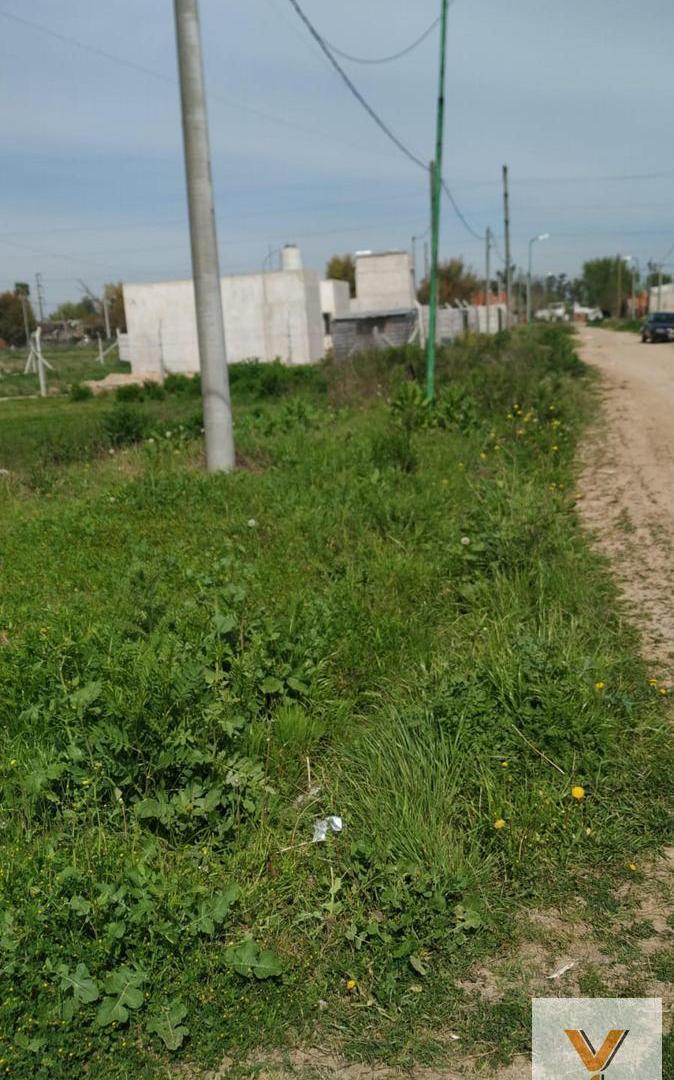 Foto de Terreno en venta - 337.05mts2 - La Plata, imagen 3