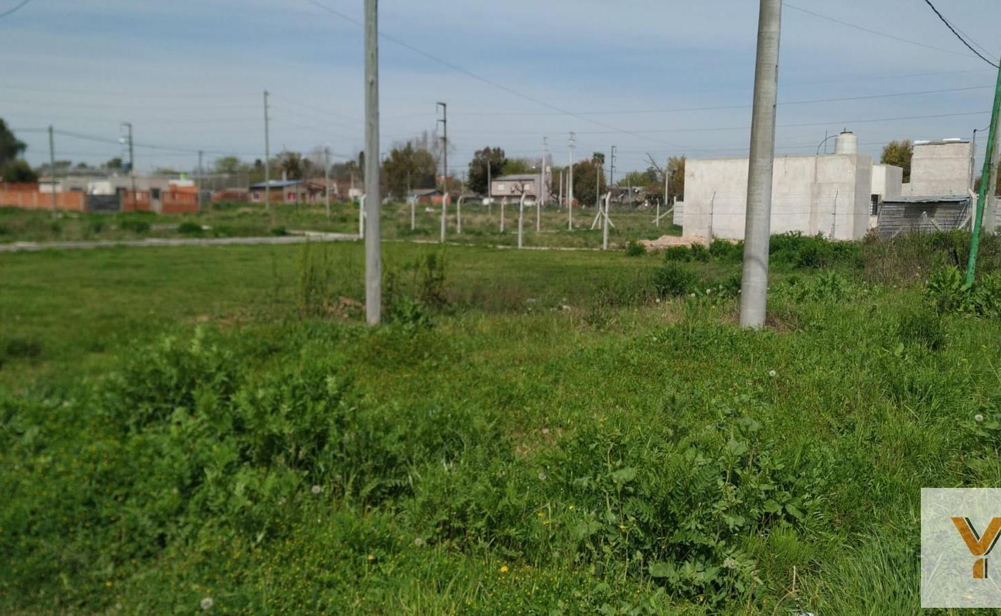 Foto de Terreno en venta - 337.05mts2 - La Plata, imagen 4