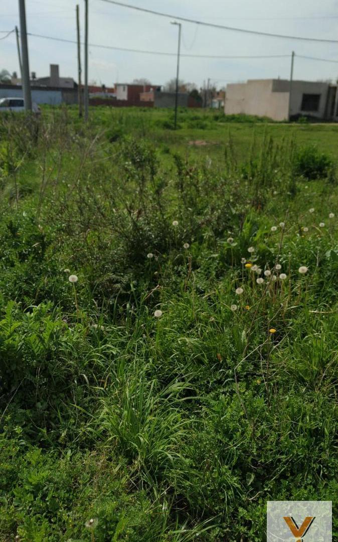 Foto de Terreno en venta - 337.05mts2 - La Plata, imagen 5