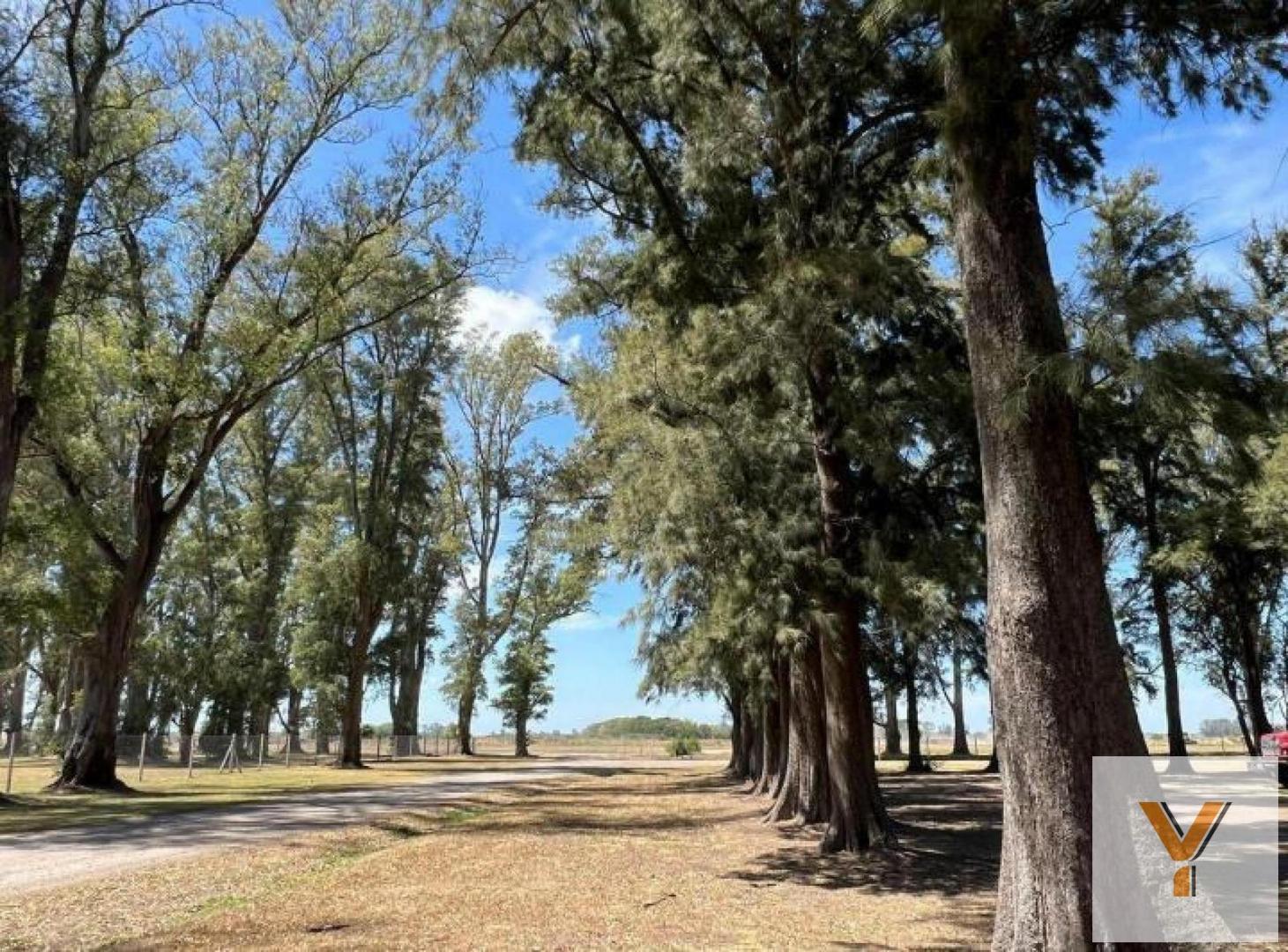 Foto de Terreno en Venta - - 1000mts - Luján, imagen 1