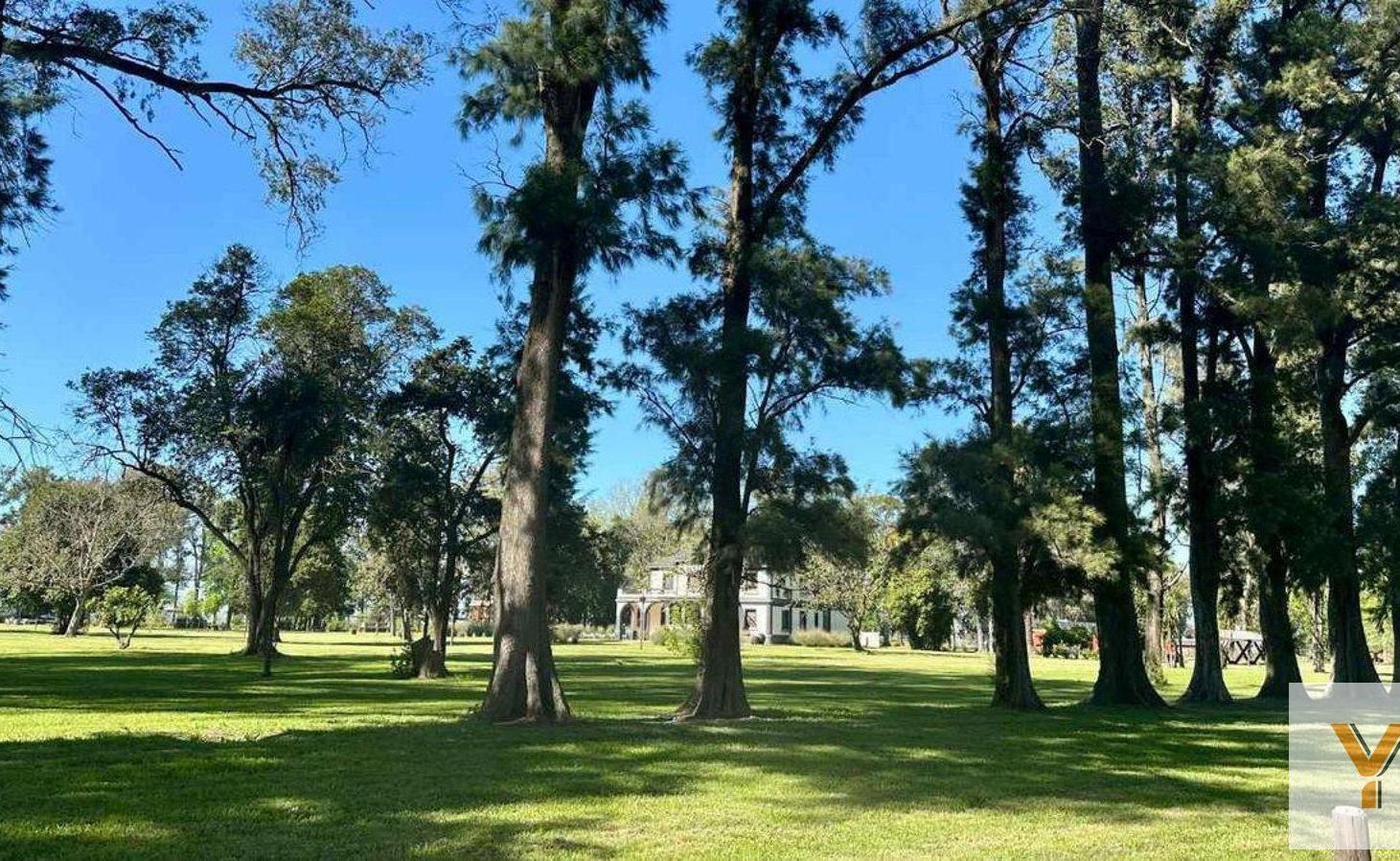Foto de Terreno en Venta - - 1000mts - Luján, imagen 2