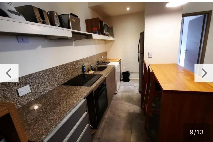 Departamento Alamos de Los Andes (San Martin de Los Andes) 2