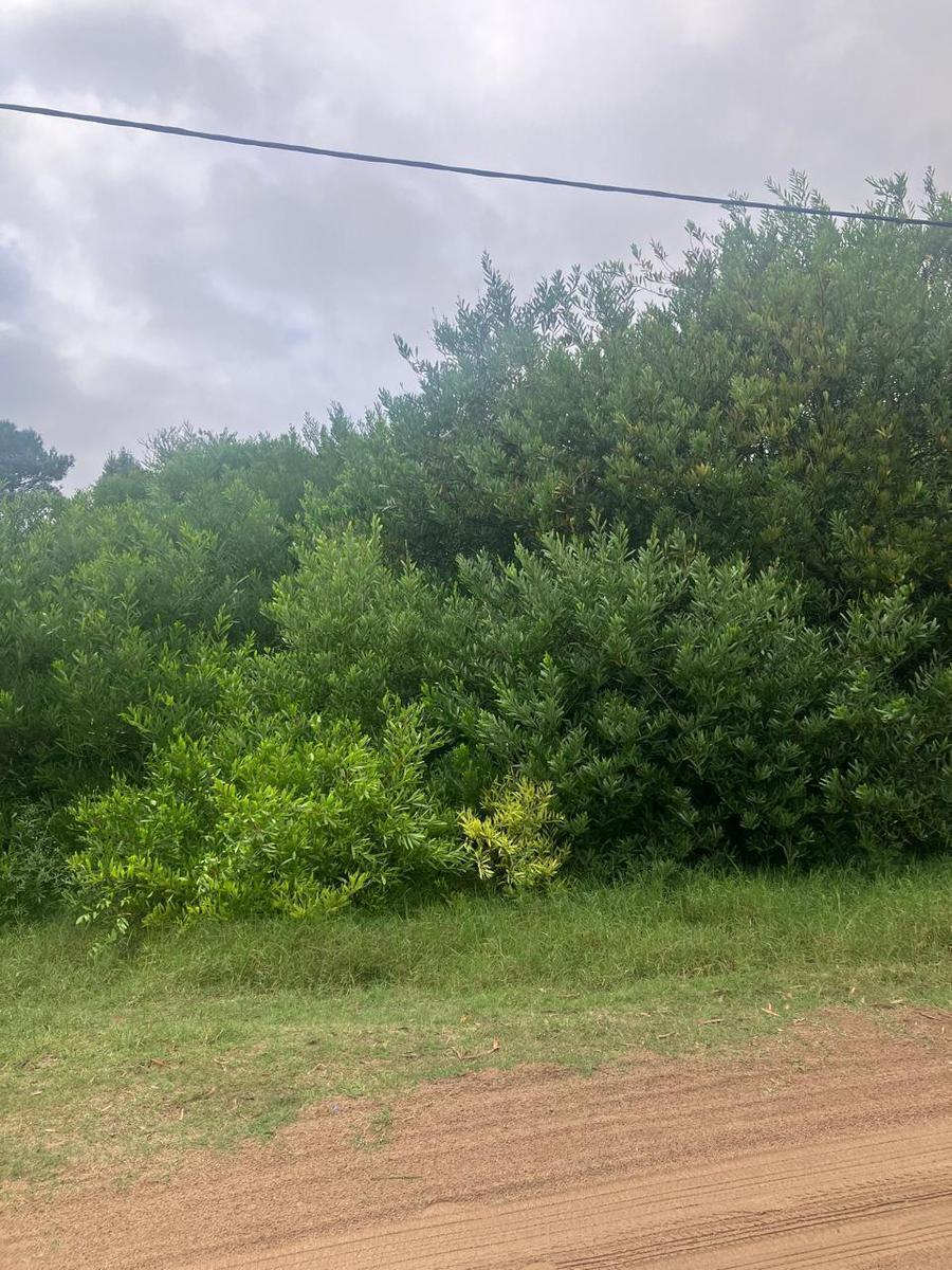 Muy Buen Terreno de 600 m. en Las Gaviotas 4