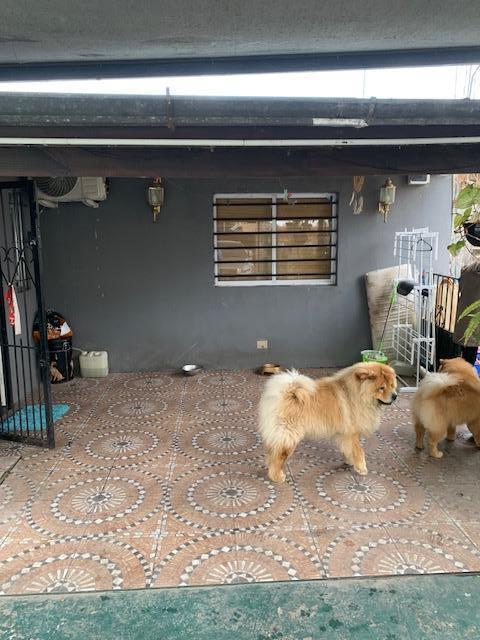 Foto de 2 CASAS A LA VENTA EN VILLA ROSA, imagen 1