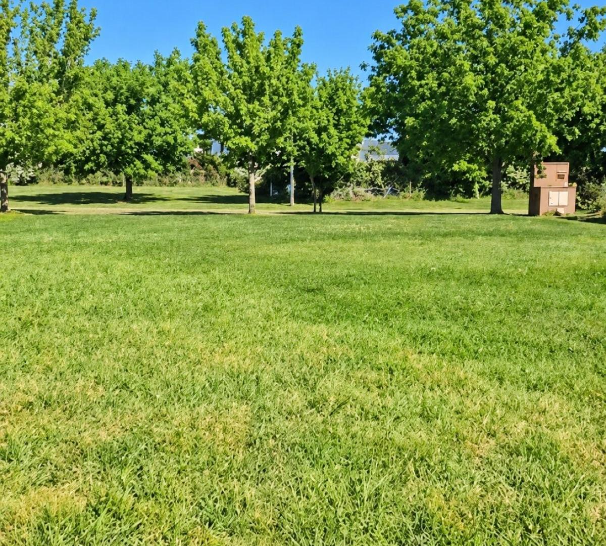 Foto de Terreno - Riberas, imagen 1